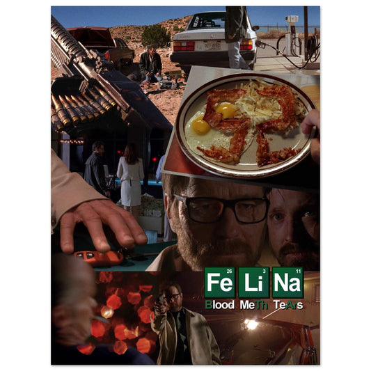 FELINA POSTER is cheap and high quality wall art from Breaking Bad - Locandina Posters